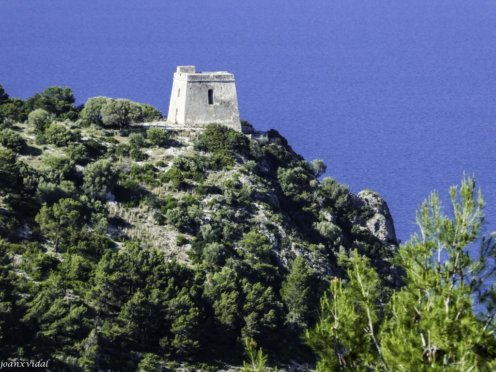 TORRE DE VIGILANCIA