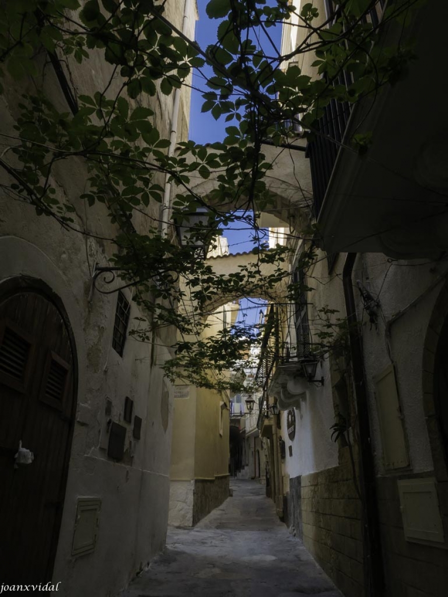 CALLE DE VIESTE