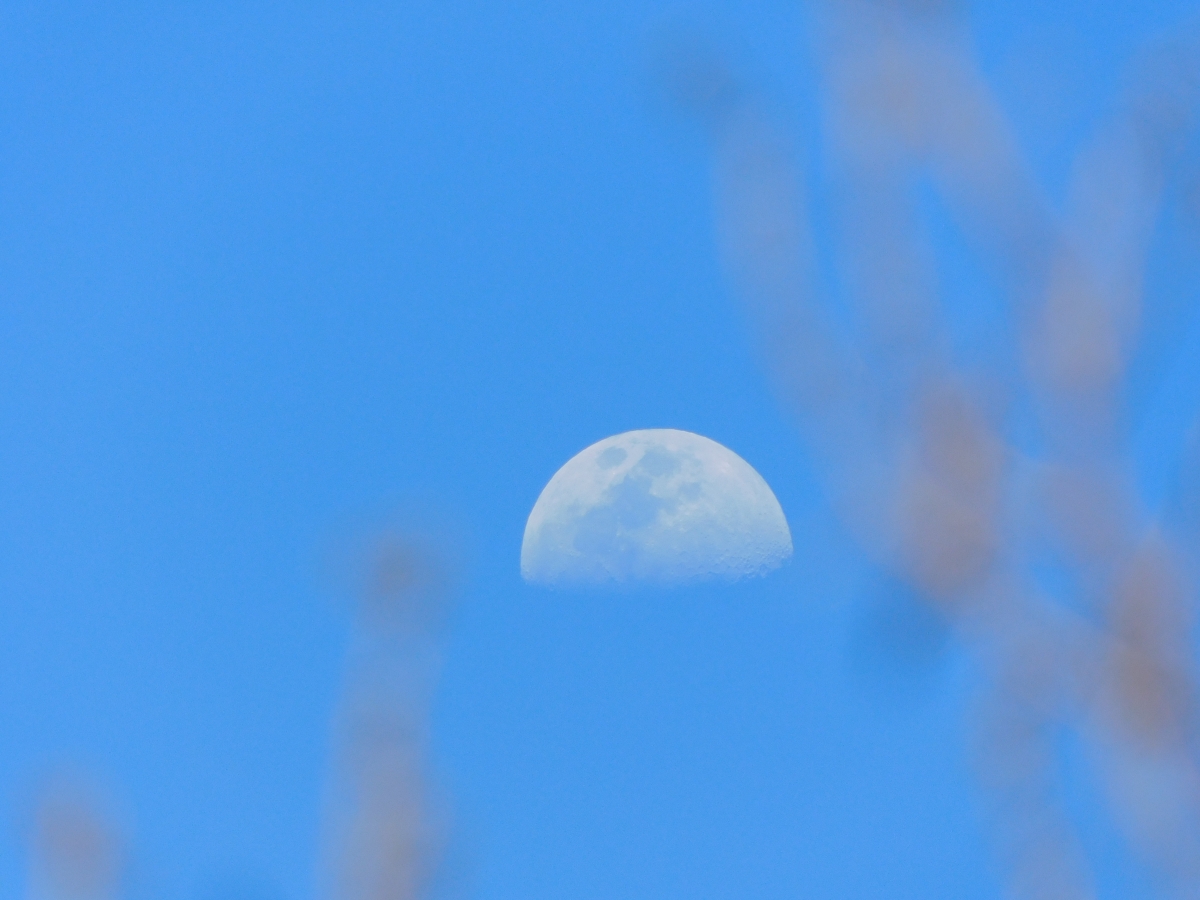 Nunca dejo de mirar hacia el cielo porque no se con que me voy a encontrar, esta vez fue la luna jajjajjajja