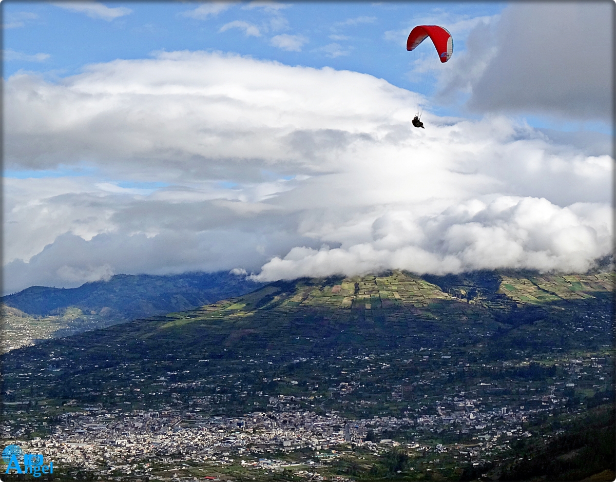 libre como el viento