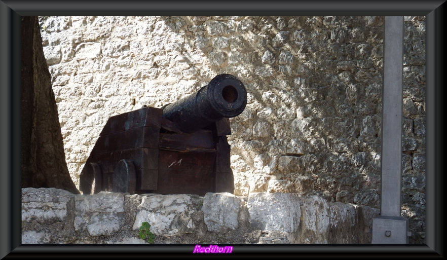 Amenazante can en las murallas de Budva