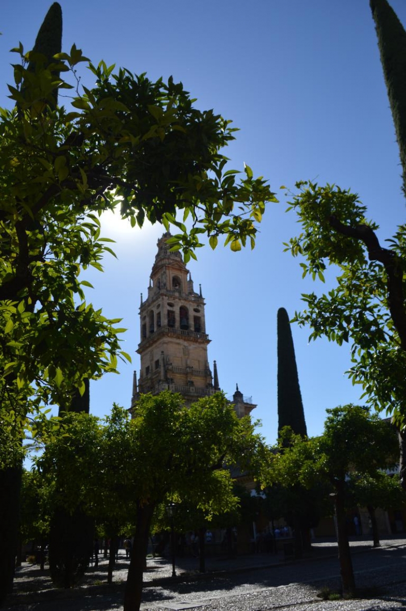 Mezquita de Crdoba. Andalucia. Al-andalus. byJOM