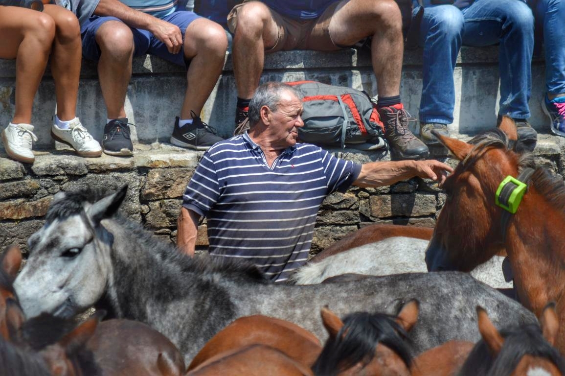 Rapa das Bestas de Sabucedo