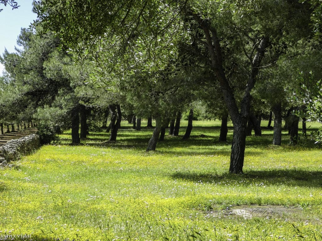 CAMPOS DE LA ABADIA