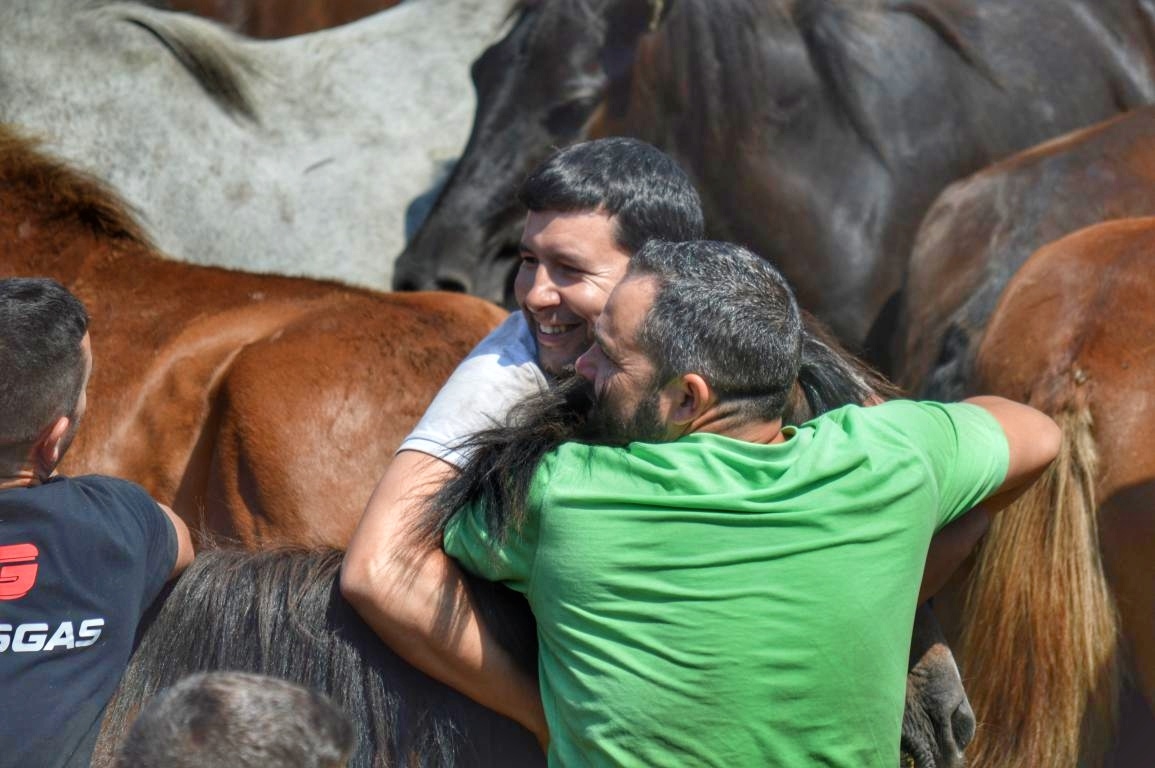 Rapa das Bestas de Sabucedo. A Estrada (pontevedra, Galicia) Festa de interese turstico internacional. Caballos