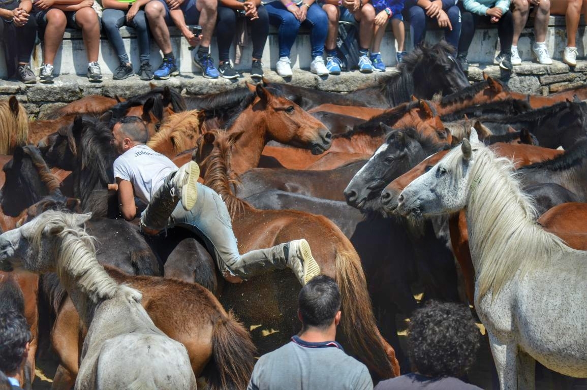 Rapa das Bestas de Sabucedo. A Estrada (pontevedra, Galicia) Festa de interese turstico internacional. Caballos