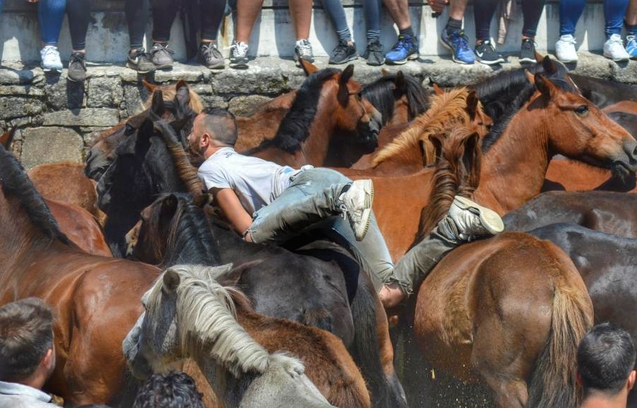 Rapa das Bestas de Sabucedo. A Estrada (pontevedra, Galicia) Festa de interese turstico internacional. Caballos. byJOM