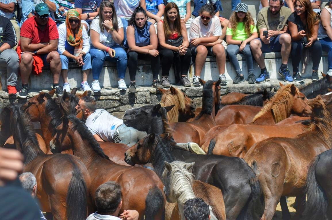 Rapa das Bestas de Sabucedo. A Estrada (pontevedra, Galicia) Festa de interese turstico internacional. Caballos
