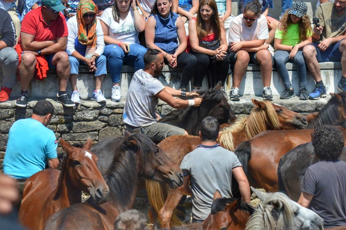 Rapa das Bestas de Sabucedo