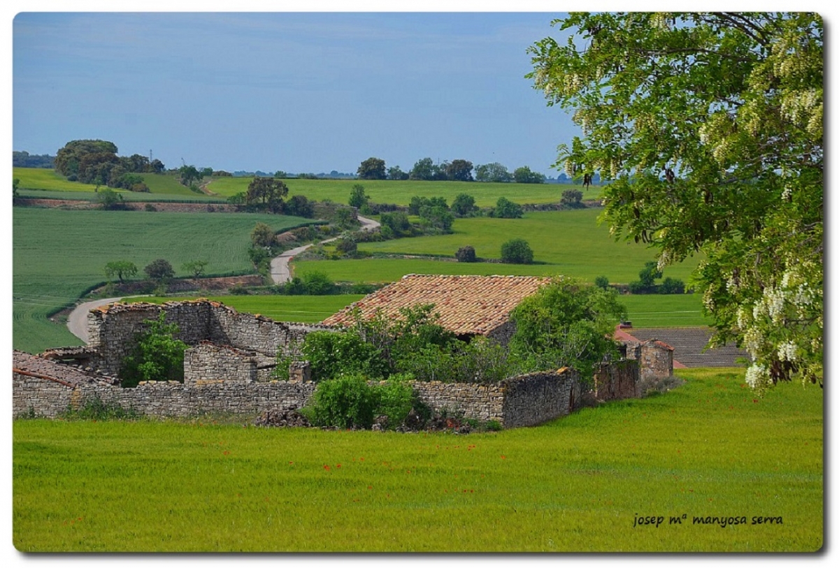 La Segarra 1