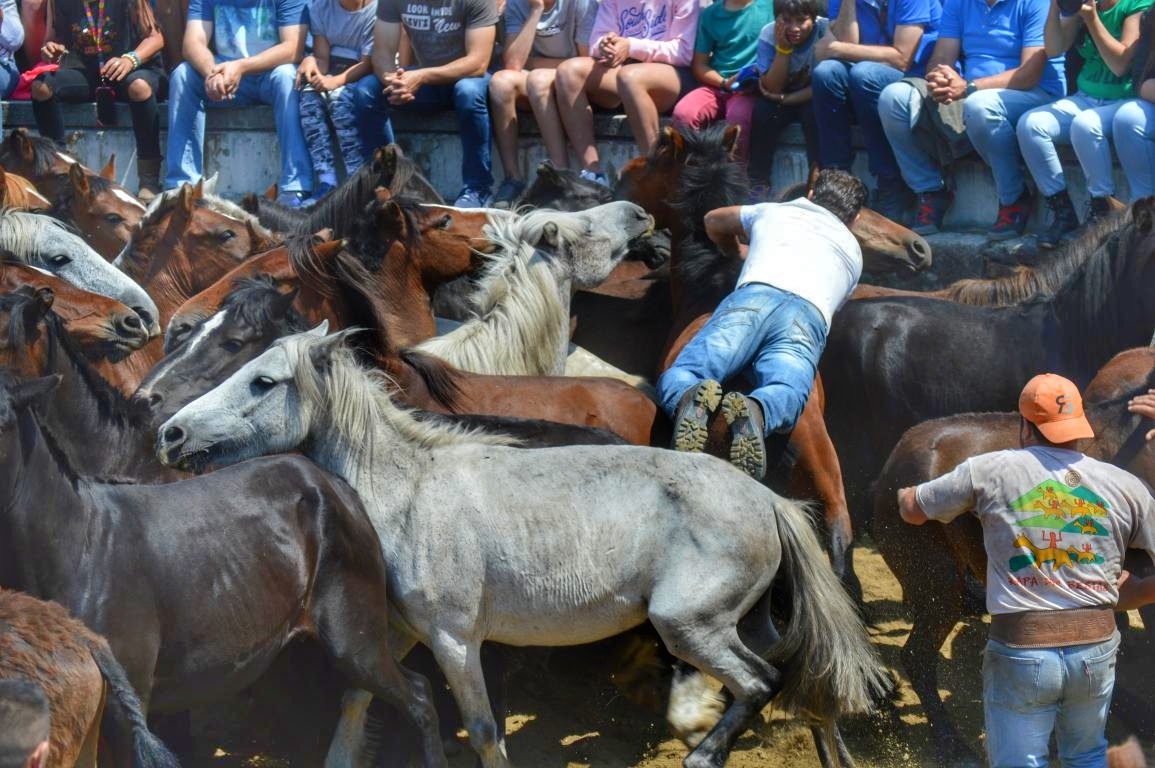 Rapa das Bestas de Sabucedo