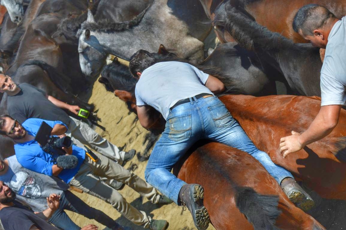 Rapa das Bestas de Sabucedo. A Estrada (pontevedra, Galicia) Festa de interese turstico internacional. Caballos