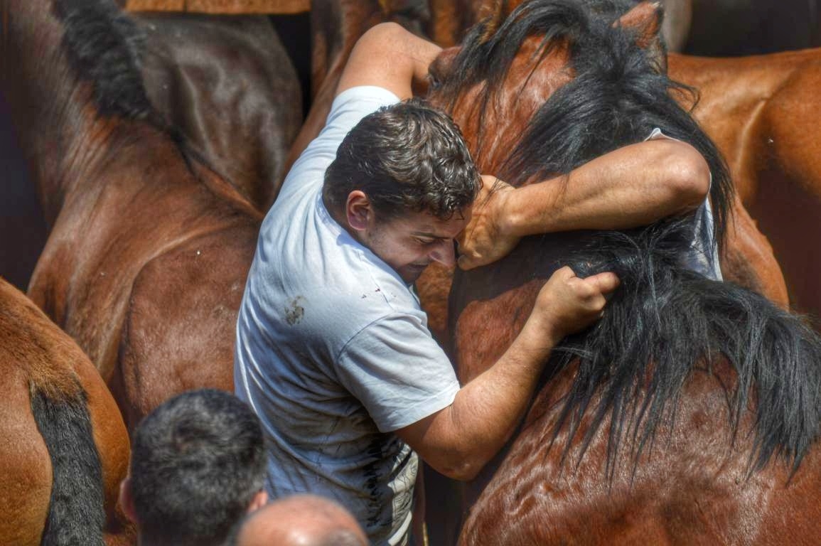 Rapa das Bestas de Sabucedo