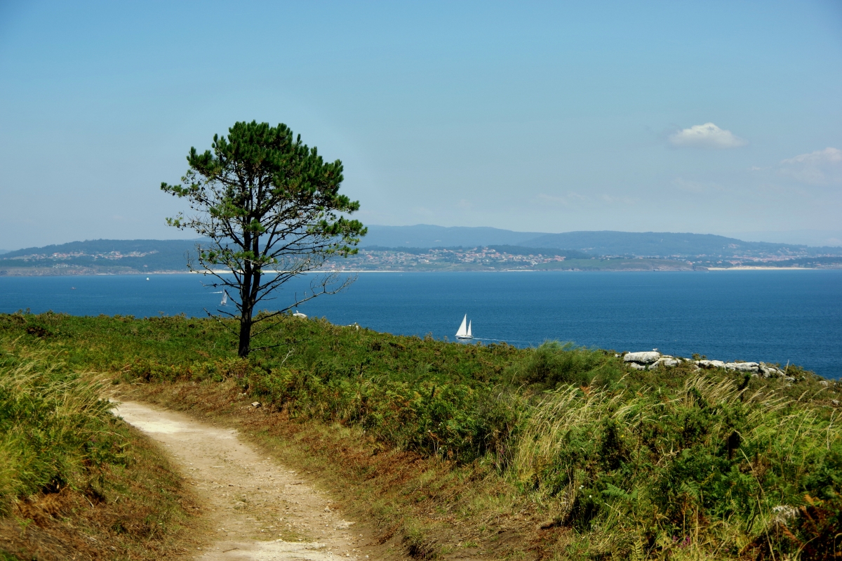 Punta do Castelo