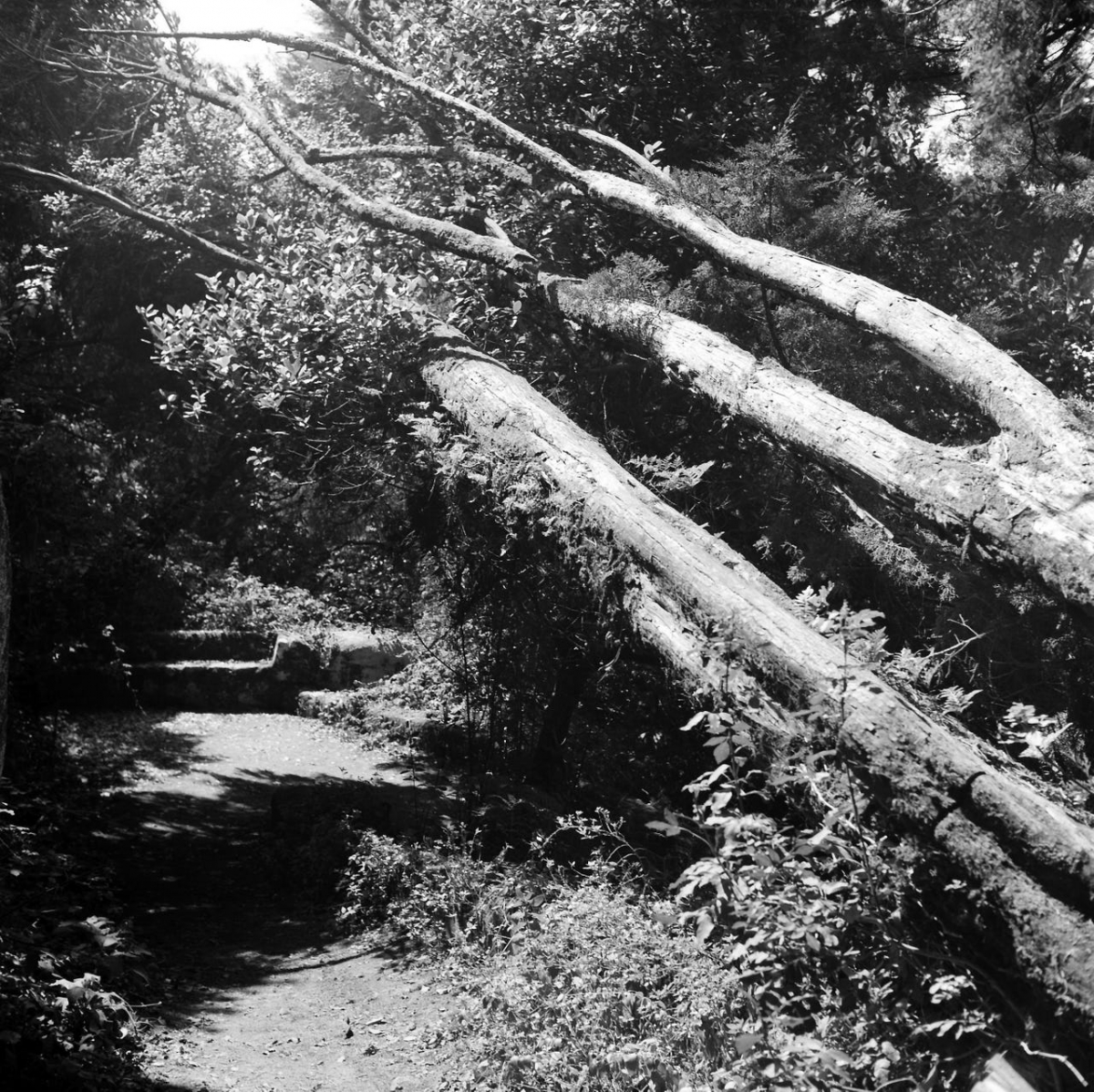 Sintra (Portugal) 9