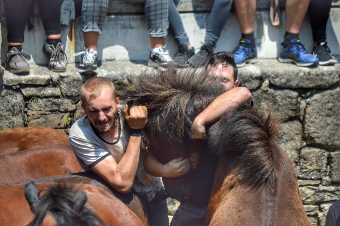 Rapa das Bestas de Sabucedo. A Estrada (pontevedra, Galicia) Festa de interese turstico internacional. Caballos. byJOM