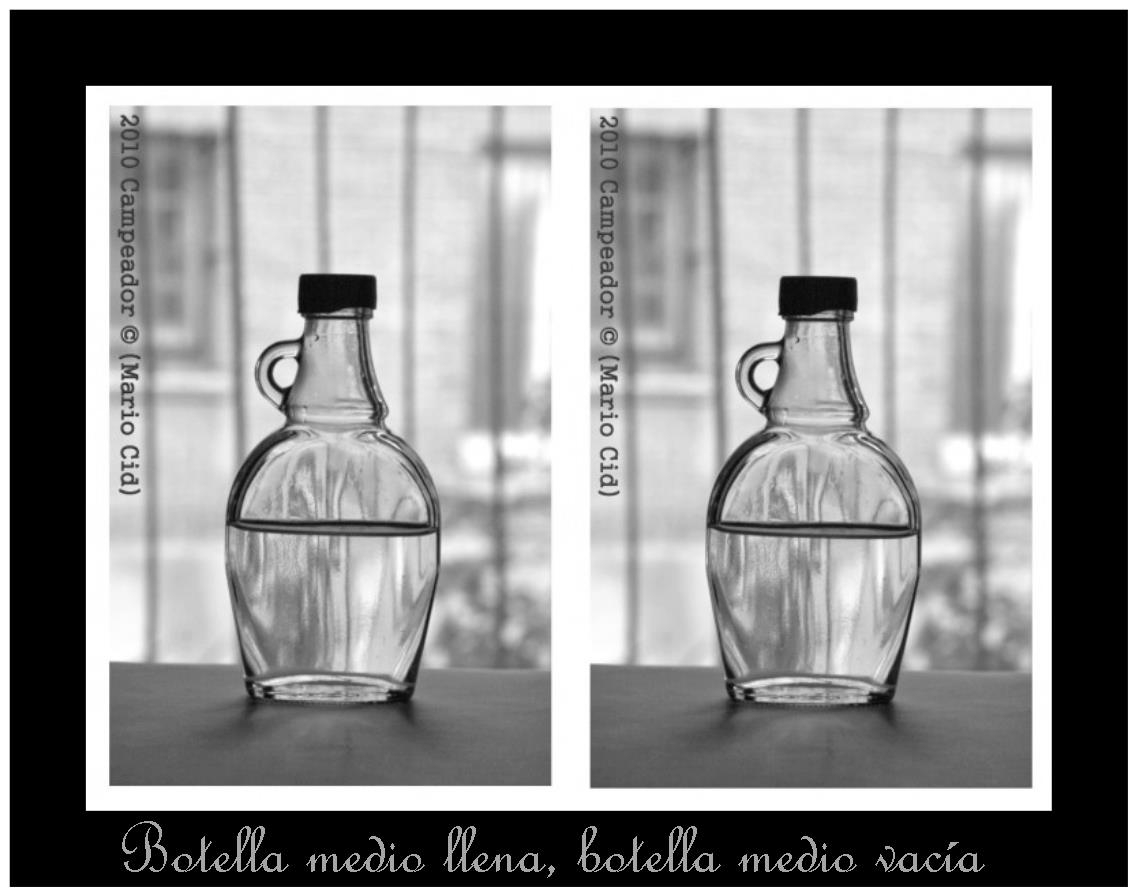 Botella medio llena, botella medio vaca - Half full bottle, half empty bottle- Photo by Campeador.