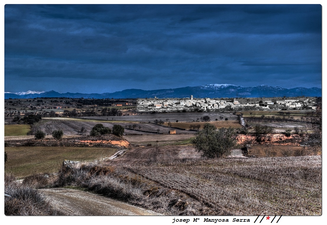 Camps de la Segarra