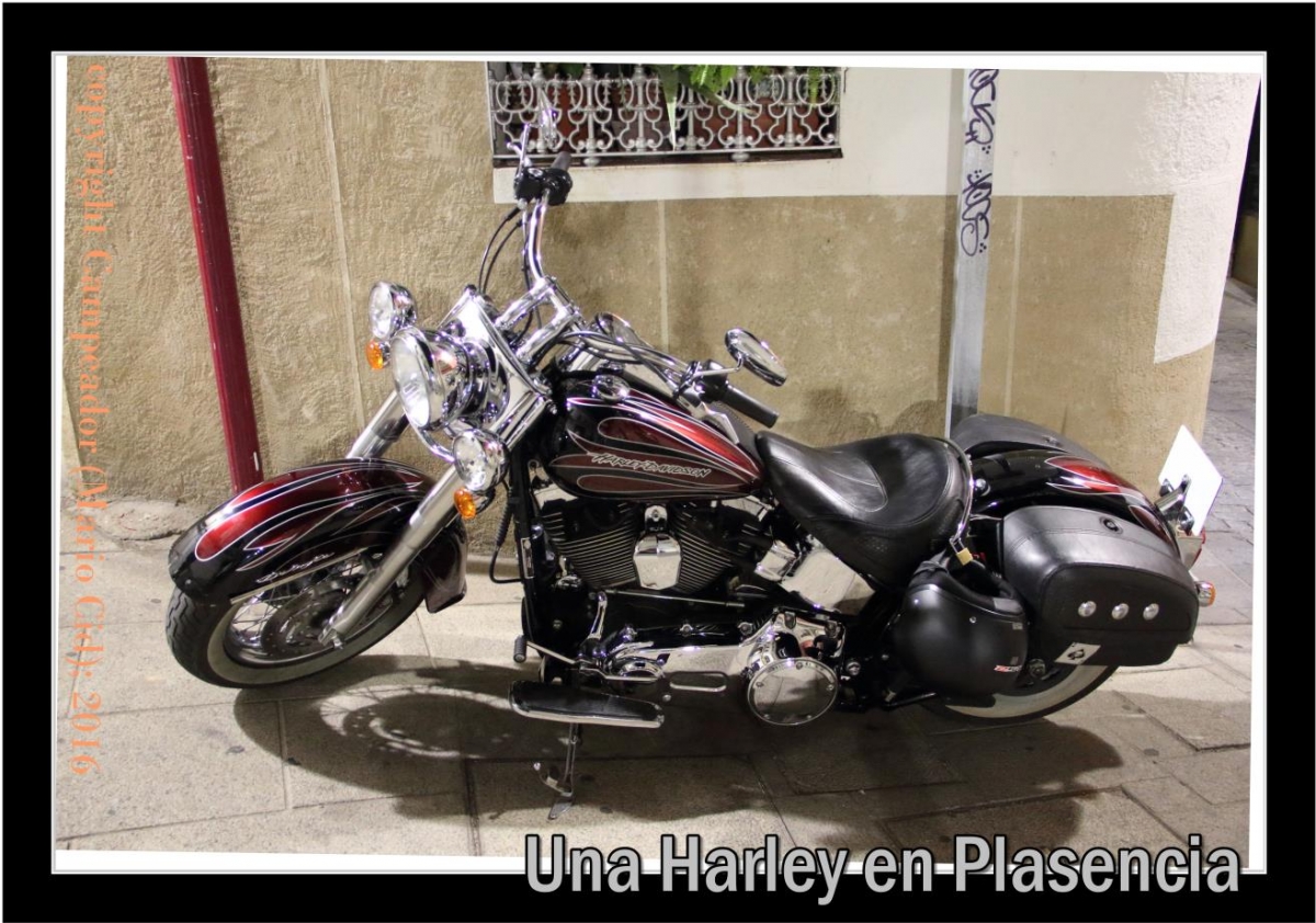 Una Harley en Plasencia - A Harley in Plasencia. Photo by Mario Cid (Campeador).