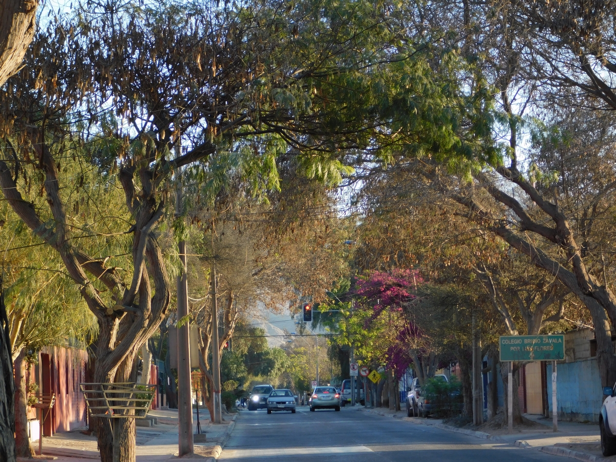 Una de las tantas calles de la ciudad de Copiap