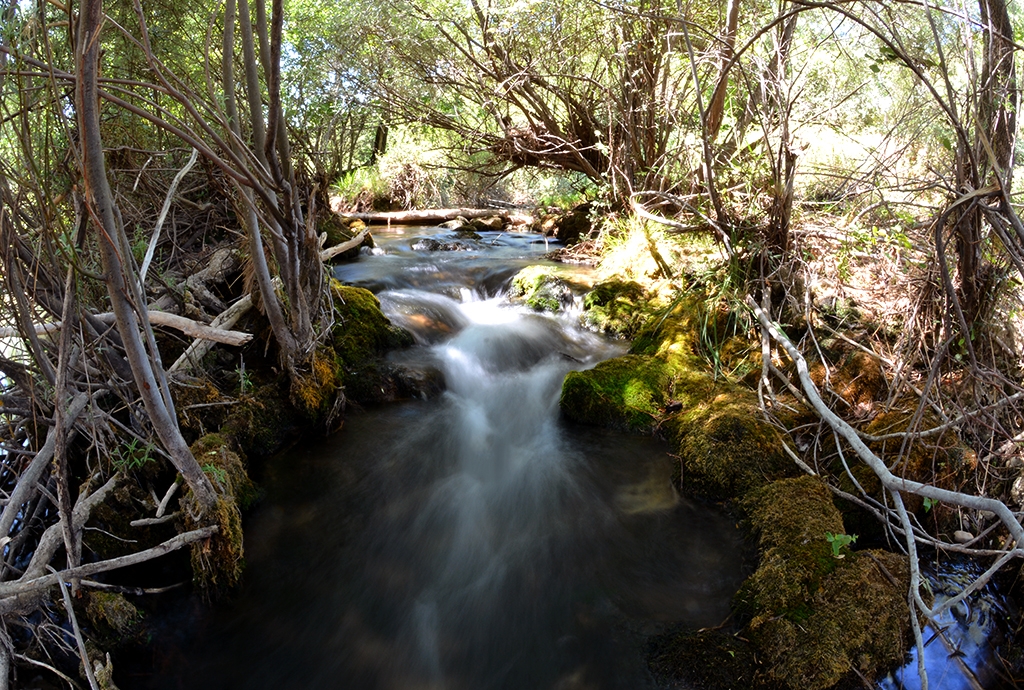 Arroyo frio