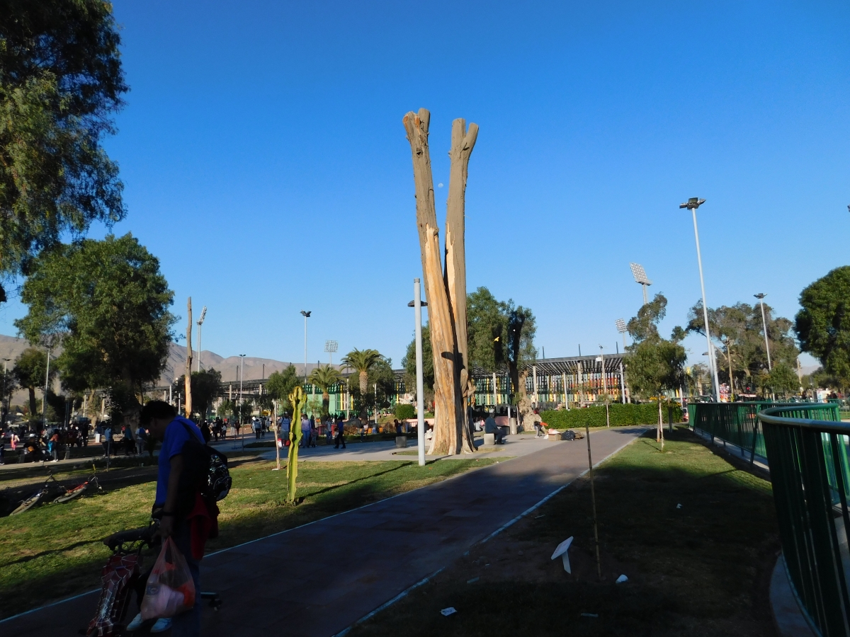 Una postal del parque donde estaba toda la accin y entretencin para los nios