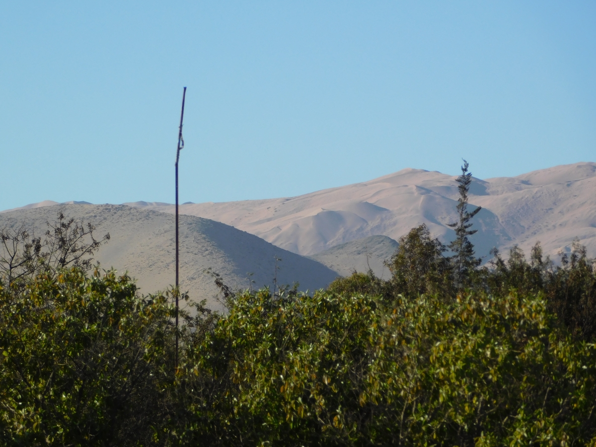 Cerros nortinos 4