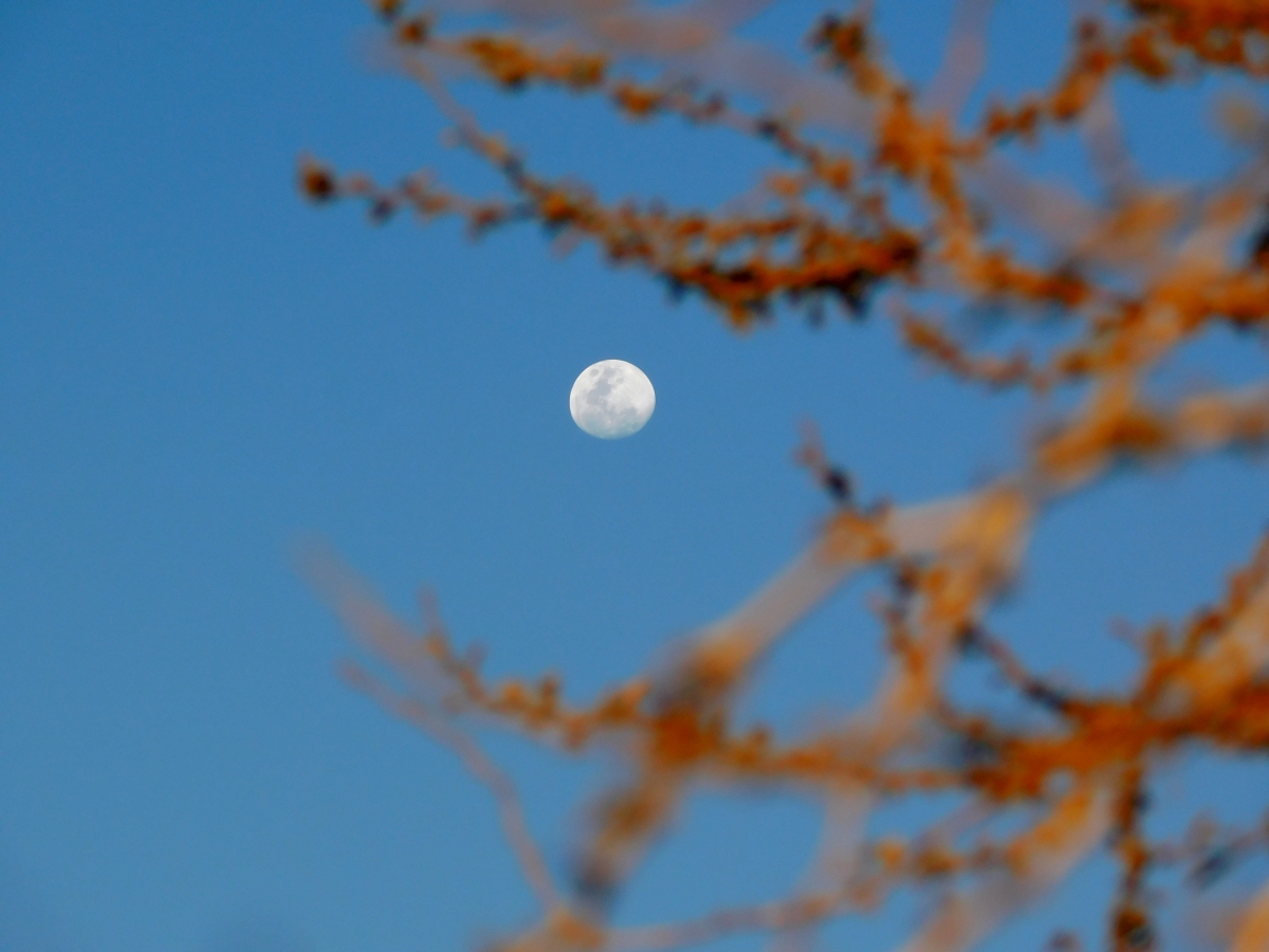 La naturaleza siempre deja que la luna la acompae para embellecerla y ensalzarla de mejor manera y se complementan