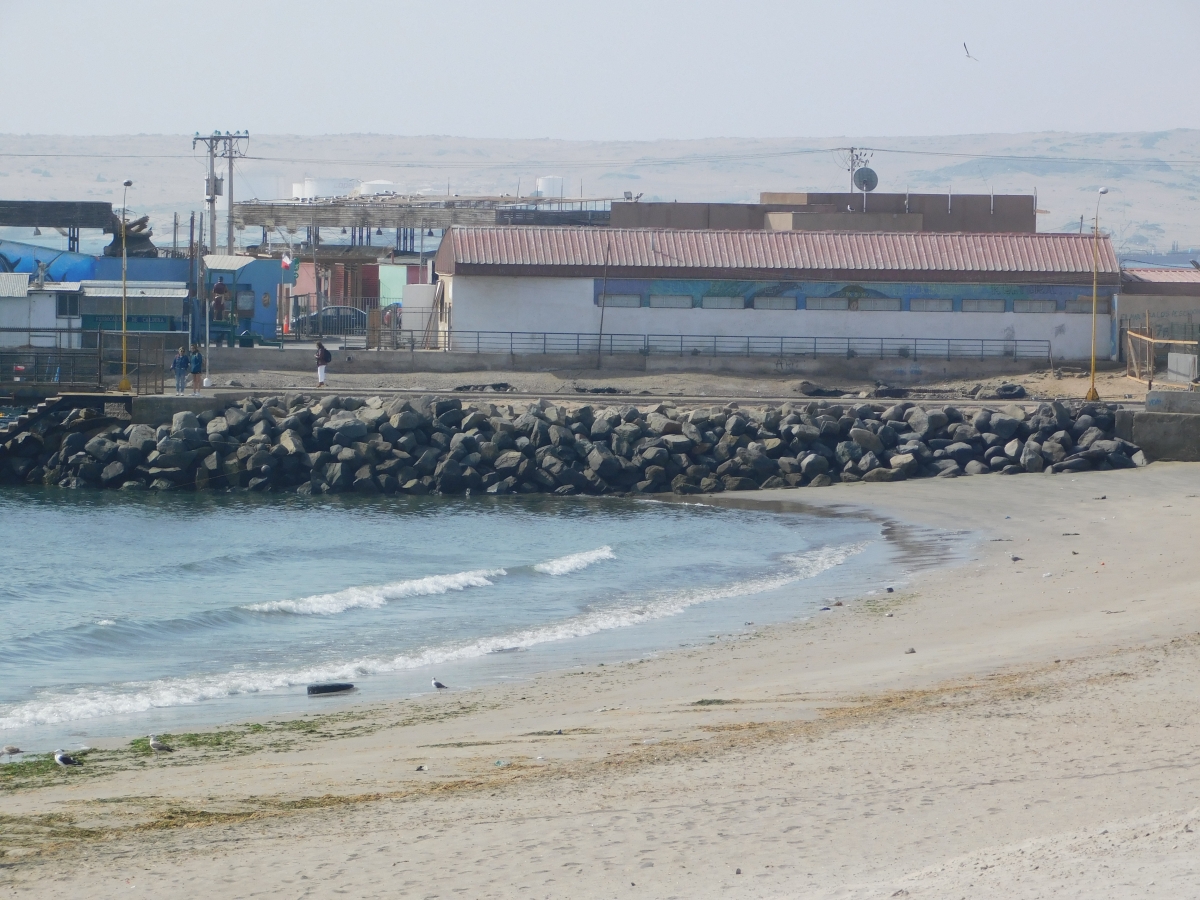 Otro rincn de la playa Copiapina