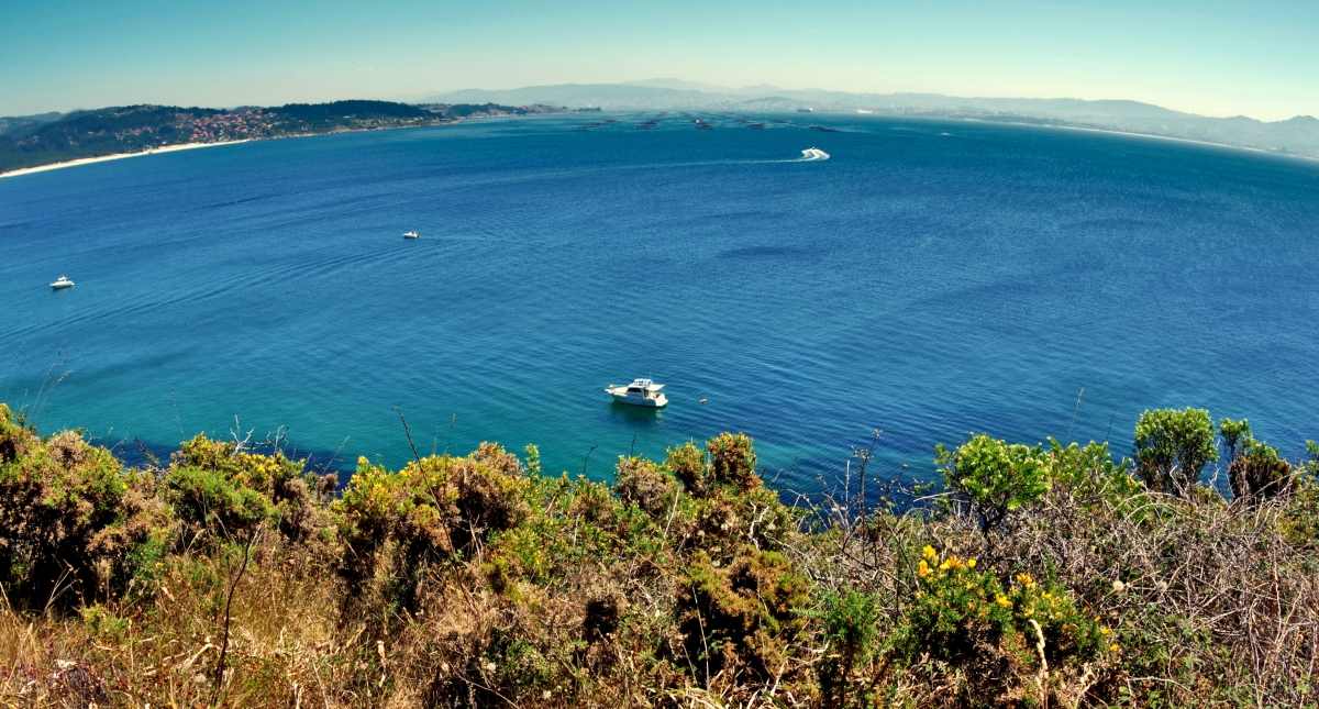 Panormica de la Ria de Vigo