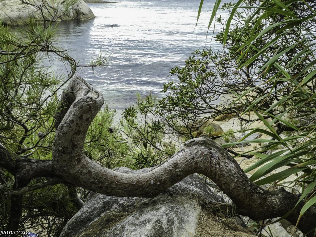 MAR DE SEPTIEMBRE