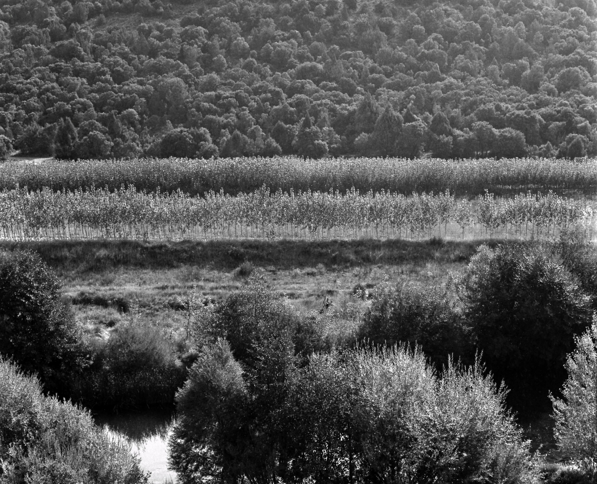 Septiembre en Castilla 35