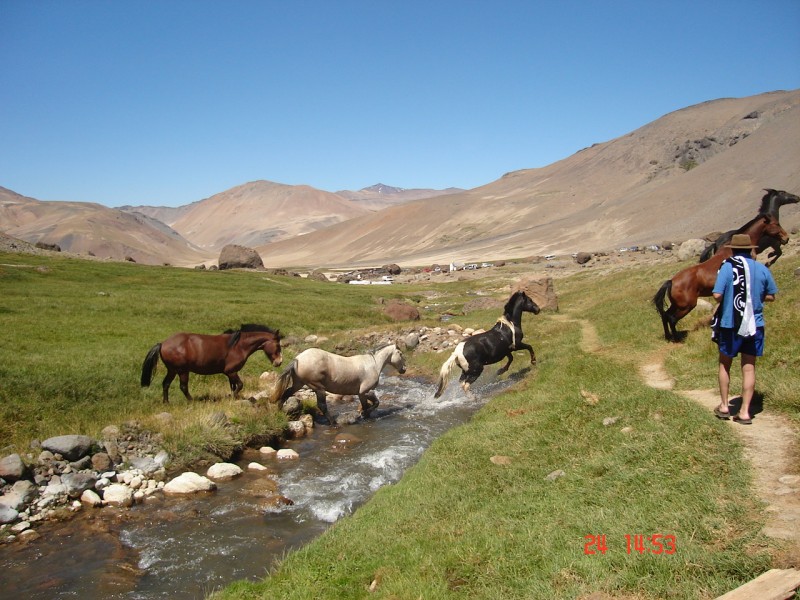 Paso Vergara