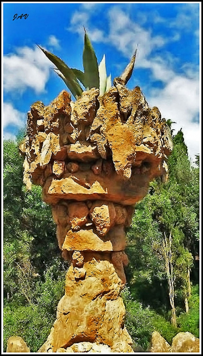 La columna y la pita.