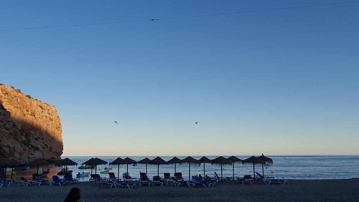 Gaviotas sobrevuelan playa de Calahonda 