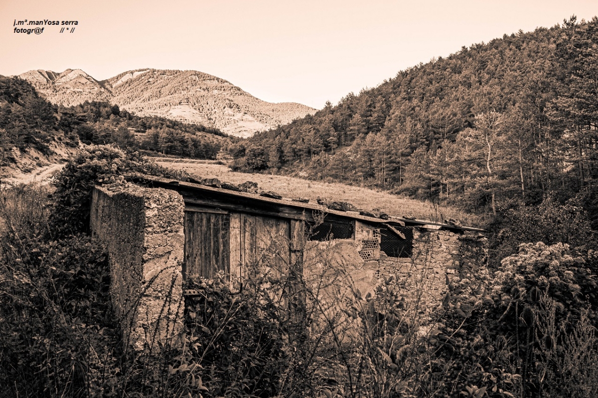 Cabana en ruines