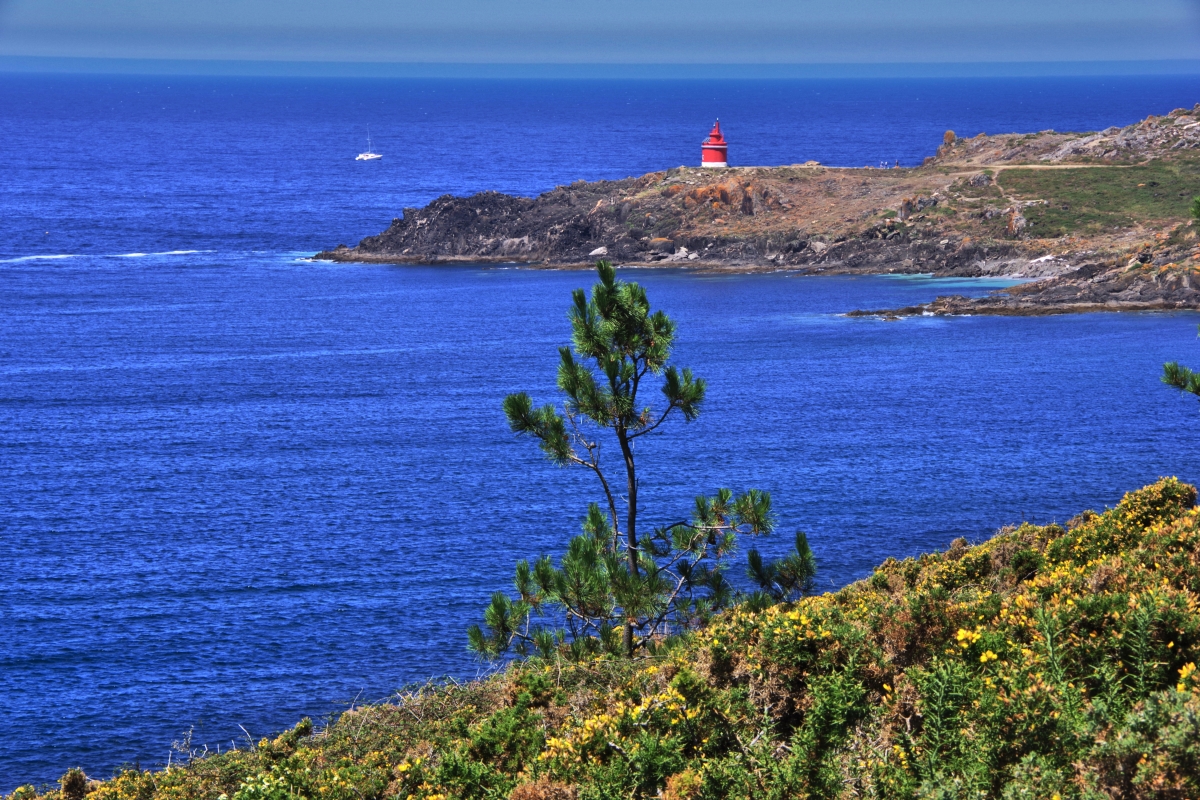 El mordisco del mar