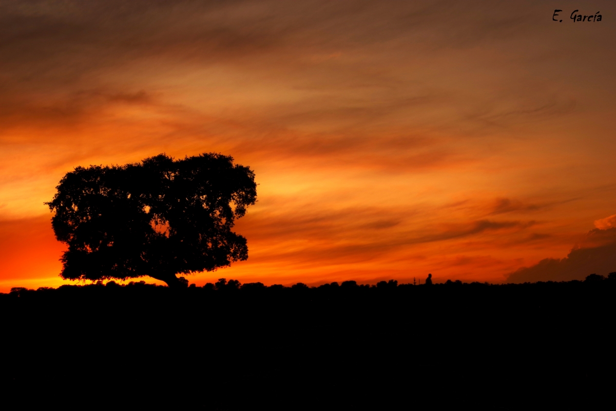 Sombras y luces II