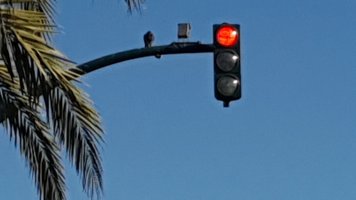 Controles 2