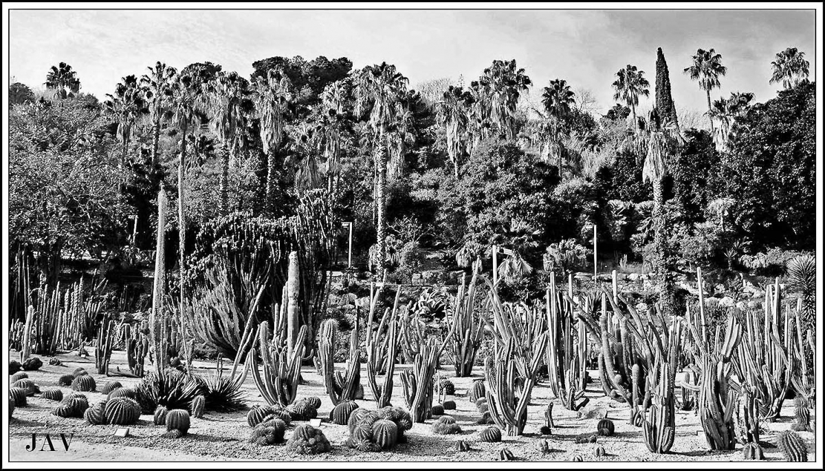 Jardins del Mossn Costa i Llobera.71