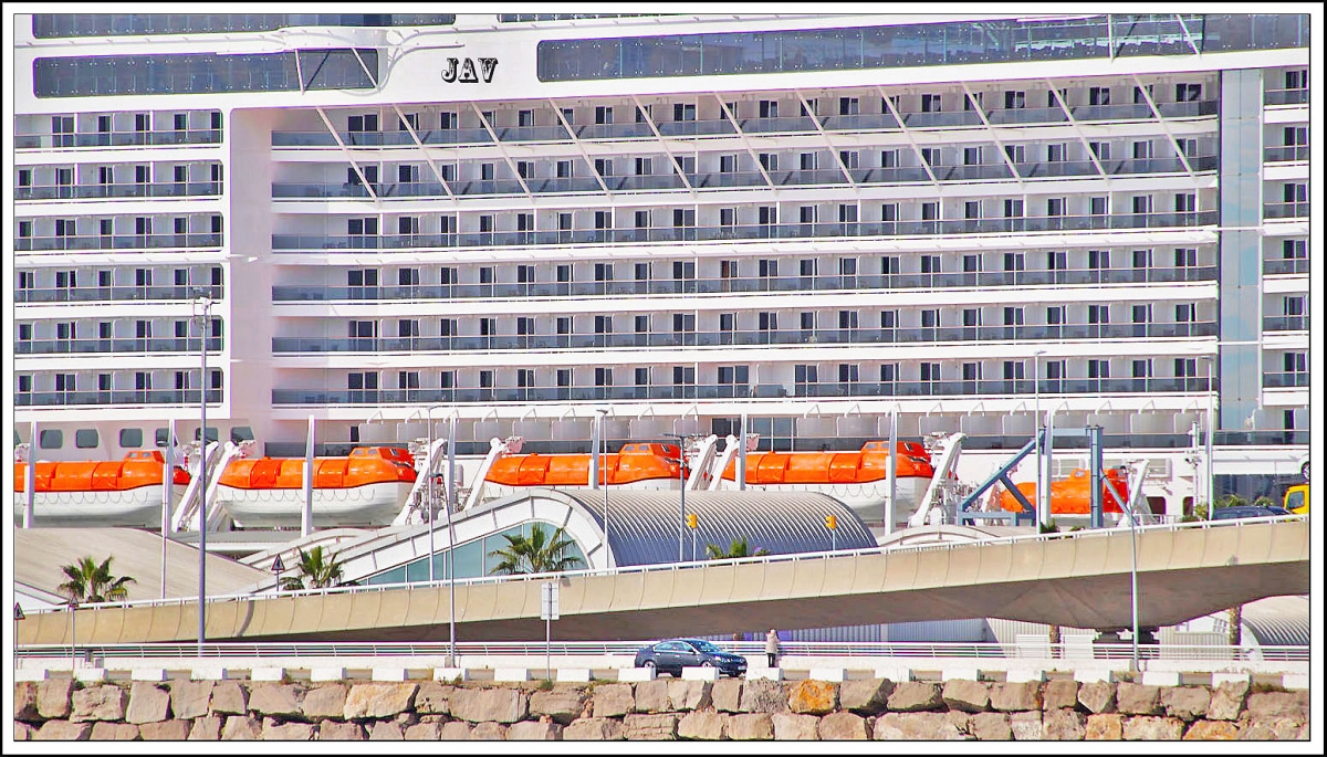 MSC.- Cruceros. 2