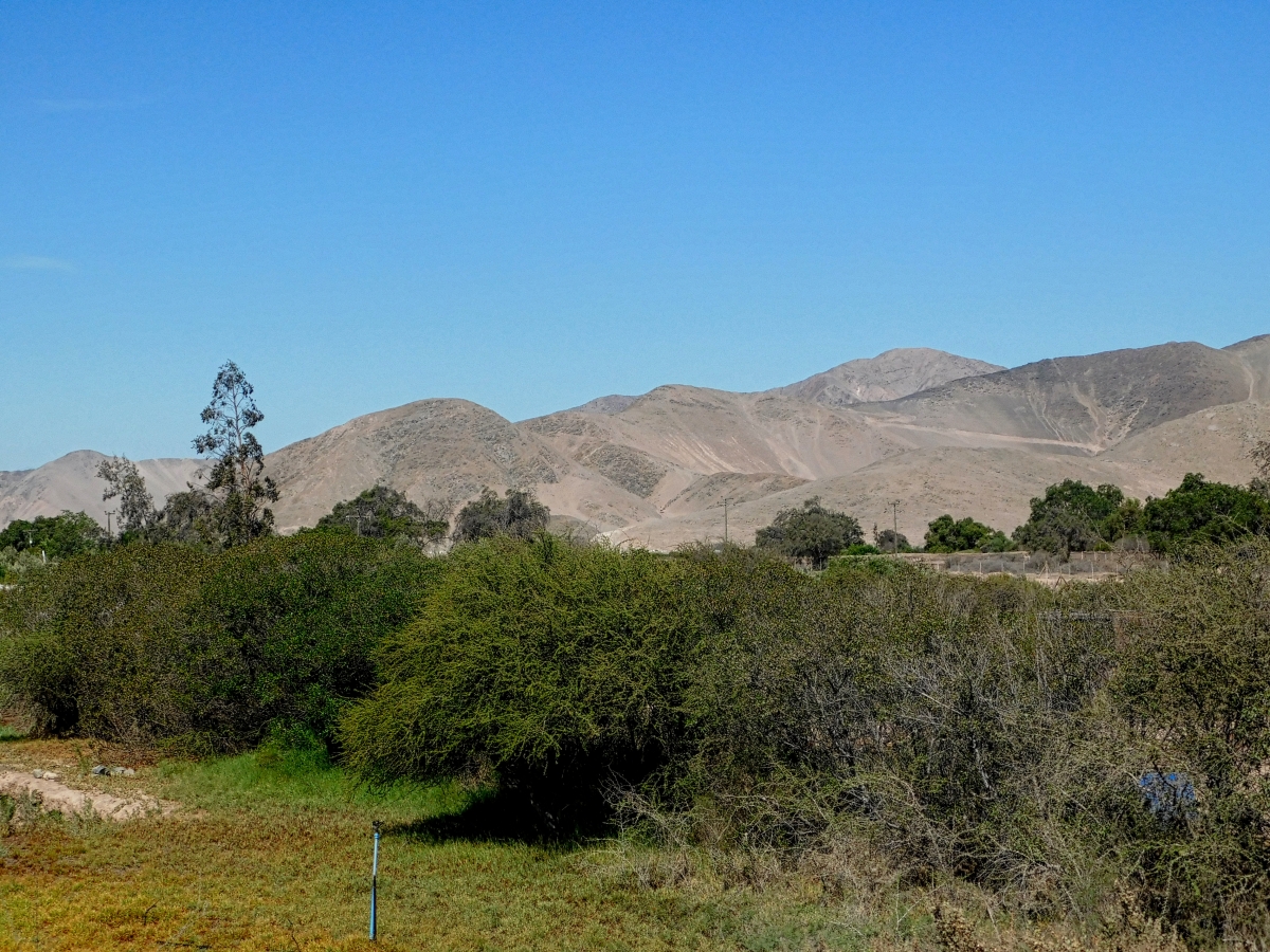 Seguimos con los paisajes del norte de Chile