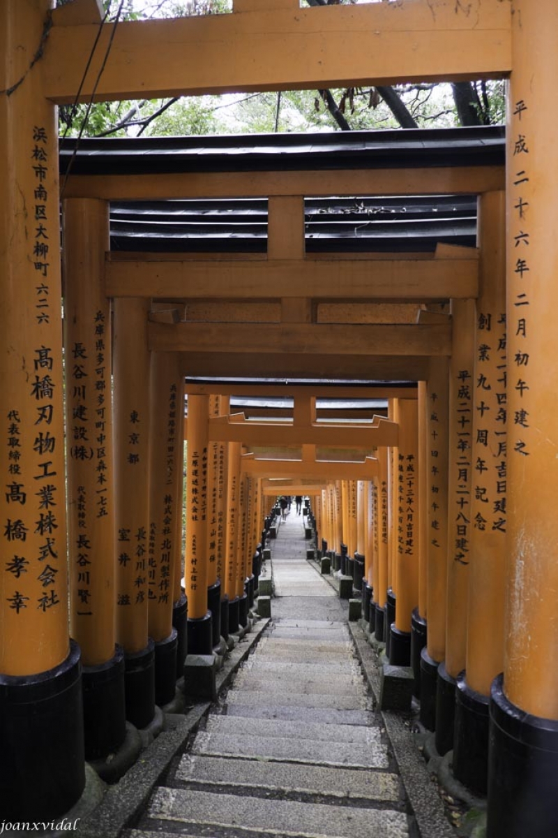 TORII