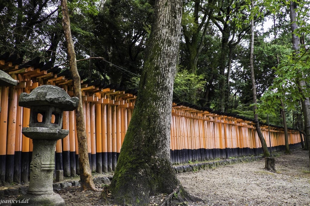 ORII fushimi inari