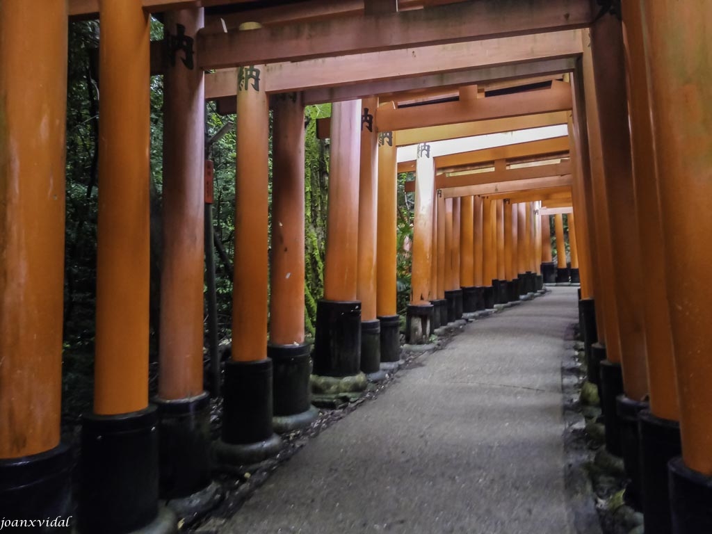 TORII