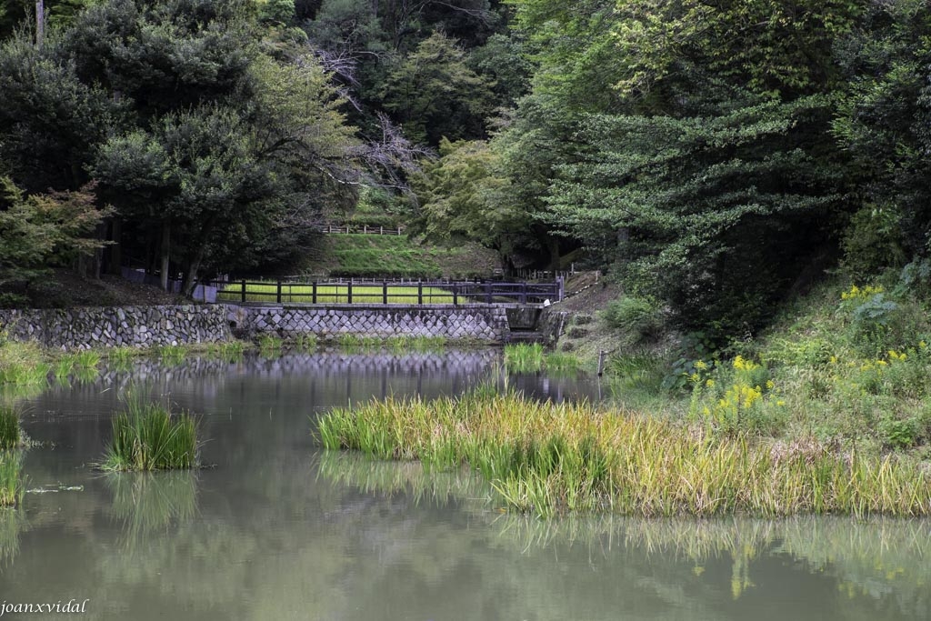 TARDOR A FUSHIMI INARI