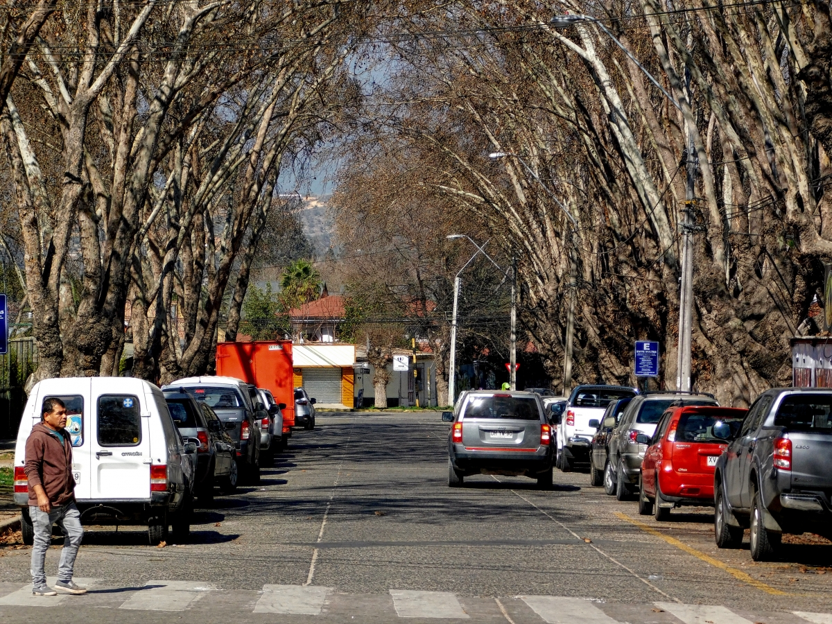 Avenida principal de Limache despus del otoo