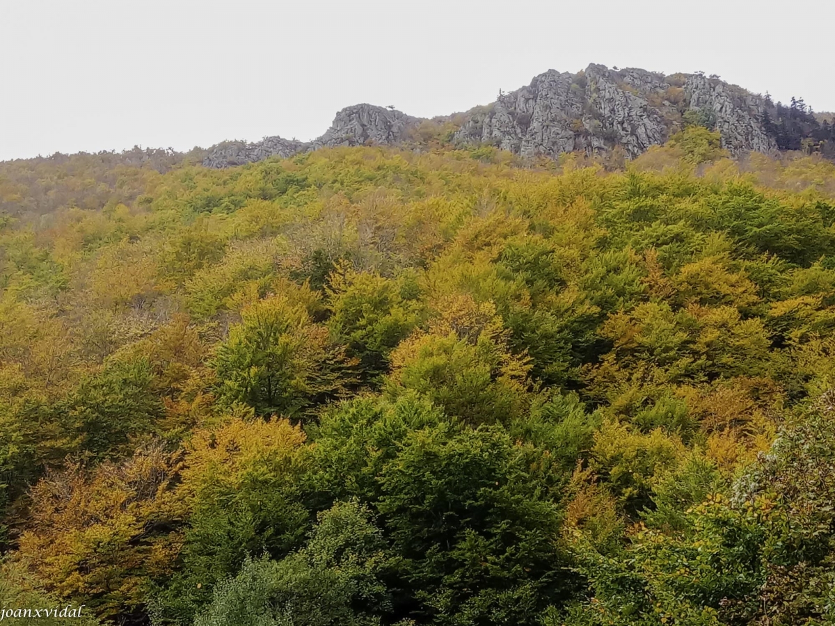 RAEDOR AL MONTSENY