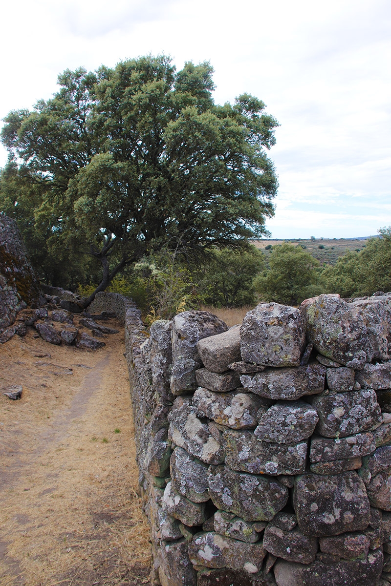 Castro de Yecla la Vieja