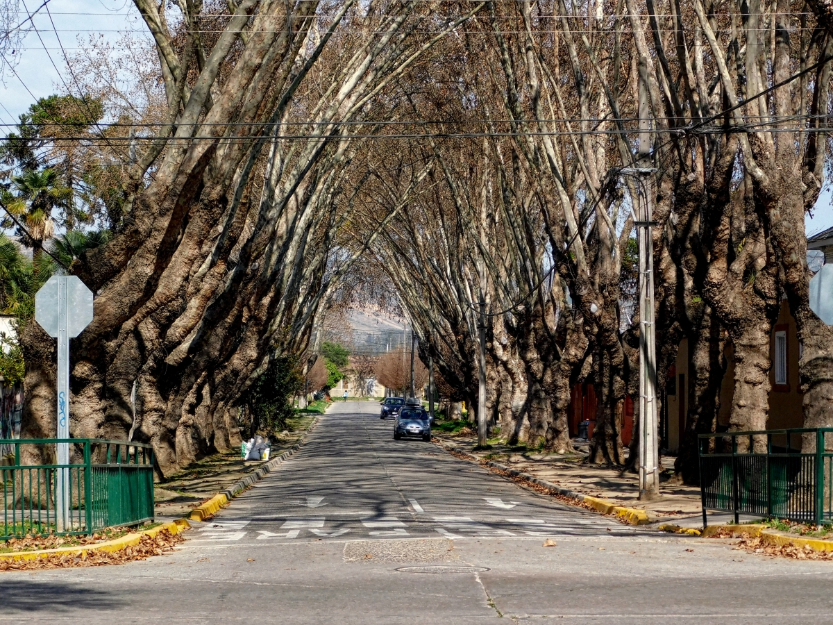 Una de las tantas calles de Limache